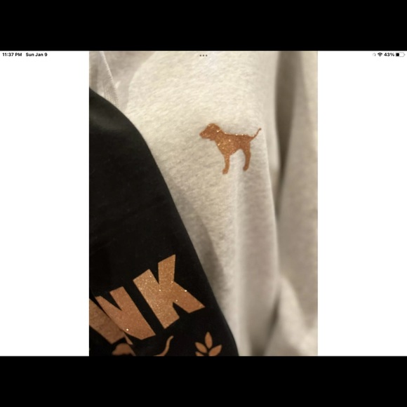 Victoria’s Secret Pink Lounge Shine fleece Campus Pullover Hoodie & Pants RARE L - Picture 4 of 7